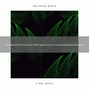 The Minute The Motor Hums Dedicated To Your Full Sleep