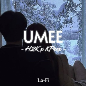 UMEE (Lofi)