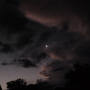 Tristeza que Atormenta