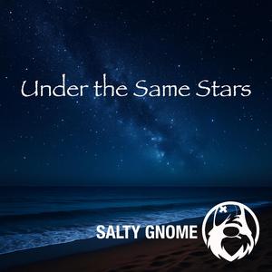 Under The Same Stars