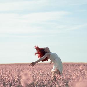 张彦休妻 (第二场)