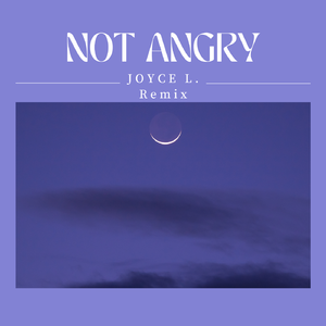 Chris James -Not Angry（Joyce L remix）