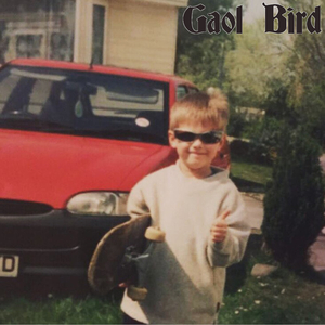 I Fell in Love With a Girl from Llanfair Pg