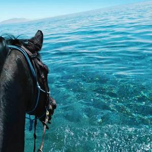 The Box（DJ Patrick Remix）