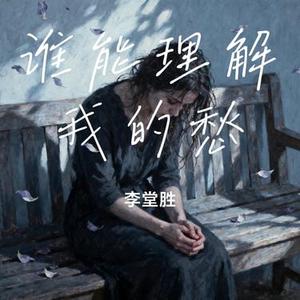 谁能理解我的愁