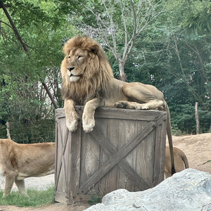 tmp_ad431391fe6a5827fb9fbe29cef67a2c