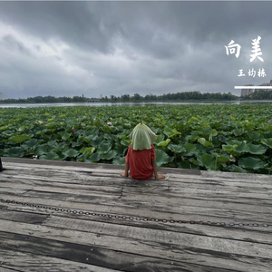 向美
