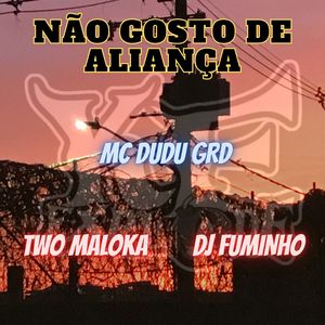 Não Gosto de Aliança