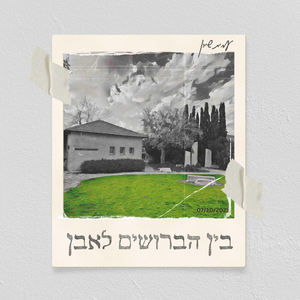 בין הברושים לאבן