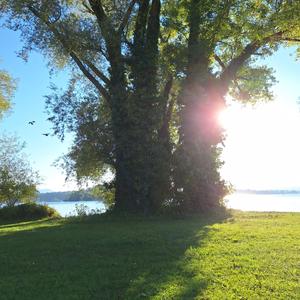 Meditation Frauen Insel