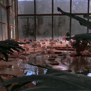 写给黄淮（女生版）