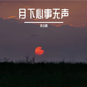 月下心事无声