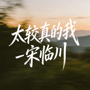 太较真的我