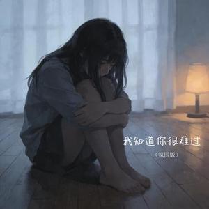 我知道你很难过
