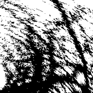 Hinterlands