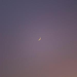 by now, even the moon knows your name