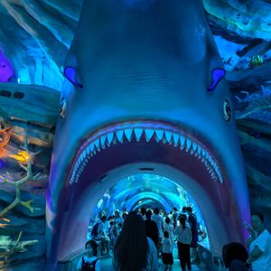 Celadon Rain-青瓷雨