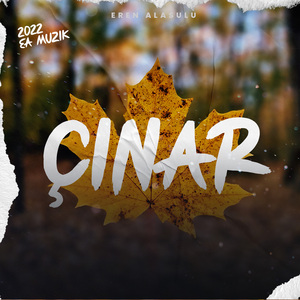 Çınar (Enstrümantal)