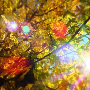 a long story (feat. galloper)