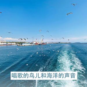 钢琴音乐和大自然的声音（在树林里）