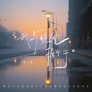 我与晚风握个手