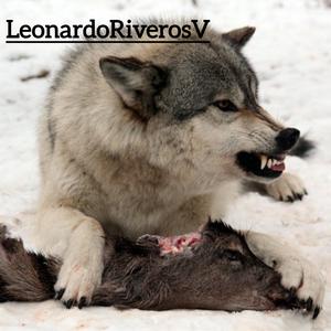 OUTRO : UN DIA 20 OCTUBRE 1973 LeonardoRiverosV