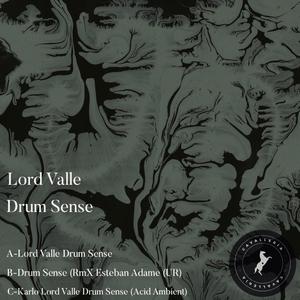 Drum Sense (Karlo Lord Valle (Acid Ambient Session)