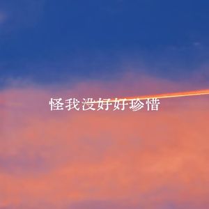 怪我没好好珍惜