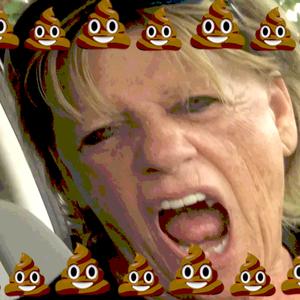 Somebody Pooped in the Commode