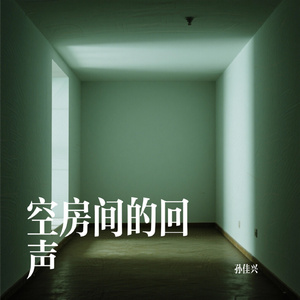 空房间的回声