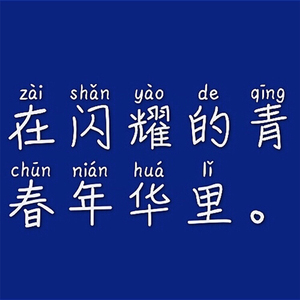 在闪耀的青春年华里