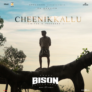 Cheenikkallu (From "Bison Kaalamaadan")