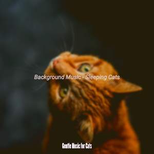 Music (Sleeping Cats)