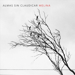 Almas Sin Claudicar