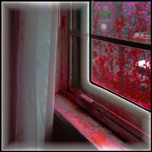 Life Comes With The Rains