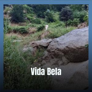 Charles Williams Jealous Lover