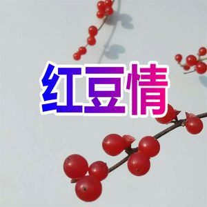 红豆情
