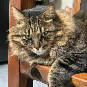 把温柔啊 留给喜欢