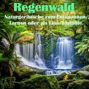 Regenwald mit Grillenzirpen