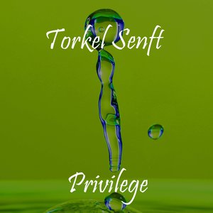 Privilege (Radio Edit)