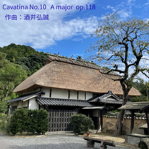 カヴァティーナ 第10番