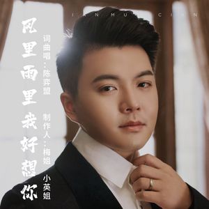 风里雨里我好想你 (伴奏)