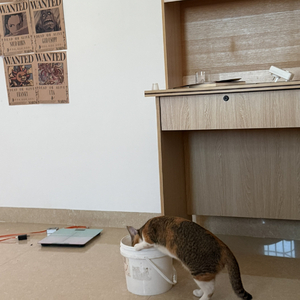 势不可挡，踏破星光开创世界.wav