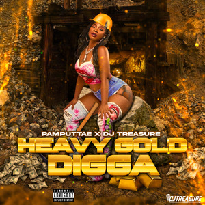Heavy Gold Digga Remix Riddim Instrumental