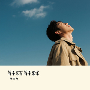 等不来雪 等不来你