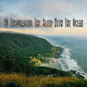 短暫的岸邊漫步