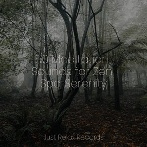 Unfathomable Ocean Dreams