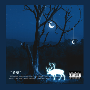 “希望”emo sad piano type beat