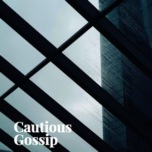 Cautious Gossip/孟菲斯R&B/BOBBYNOPEACE type beat