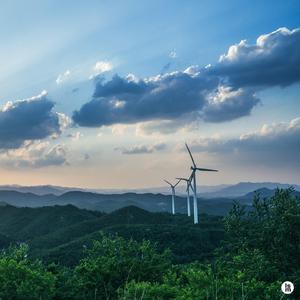 바람에게 부탁하는 시간